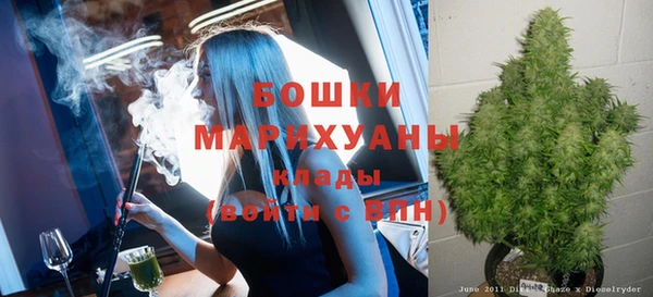 спиды Богородицк