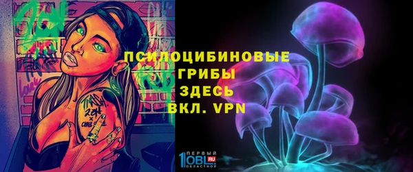 твердый Балахна