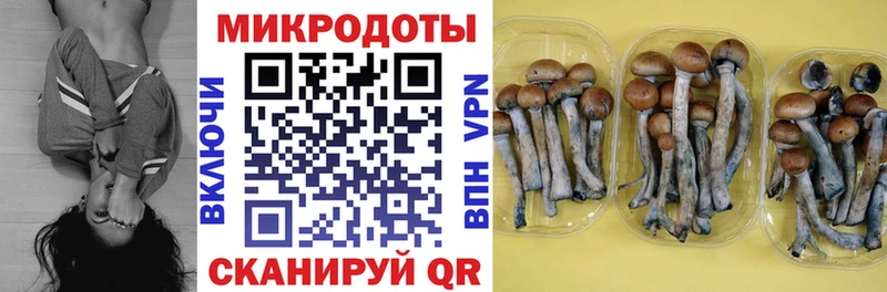 гидра ТОР  даркнет сайт  Пойковский  Псилоцибиновые грибы ЛСД 